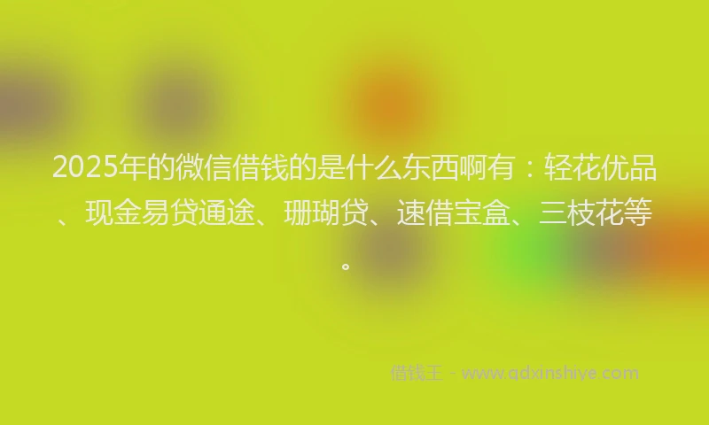 2025年的微信借钱的是什么东西啊有：轻花优品、现金易贷通途、珊瑚贷、速借宝盒、三枝花等。