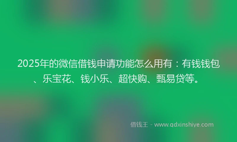 2025年的微信借钱申请功能怎么用有：有钱钱包、乐宝花、钱小乐、超快购、甄易贷等。