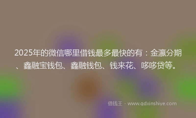 2025年的微信哪里借钱最多最快的有：金瀛分期、鑫融宝钱包、鑫融钱包、钱来花、哆哆贷等。