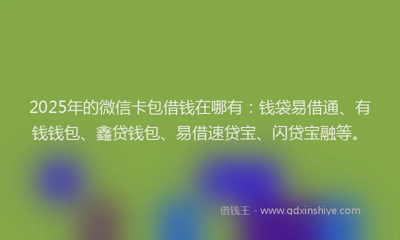 2025年的微信卡包借钱在哪有：钱袋易借通、有钱钱包、鑫贷钱包、易借速贷宝、闪贷宝融等。