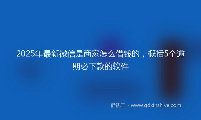 2025年最新微信是商家怎么借钱的，概括5个逾期必下款的软件