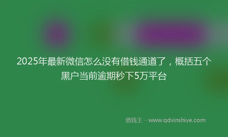 2025年最新微信怎么没有借钱通道了，概括五个黑户当前逾期秒下5万平台