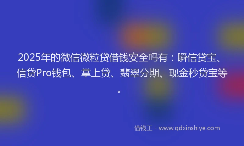 2025年的微信微粒贷借钱安全吗有：瞬信贷宝、信贷Pro钱包、掌上贷、翡翠分期、现金秒贷宝等。