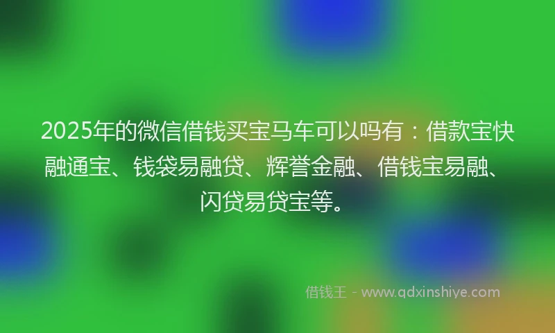 2025年的微信借钱买宝马车可以吗有：借款宝快融通宝、钱袋易融贷、辉誉金融、借钱宝易融、闪贷易贷宝等。