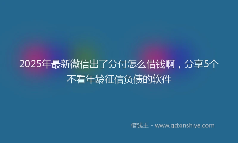 2025年最新微信出了分付怎么借钱啊，分享5个不看年龄征信负债的软件