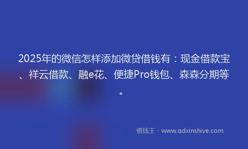 2025年的微信怎样添加微贷借钱有：现金借款宝、祥云借款、融e花、便捷Pro钱包、森森分期等。