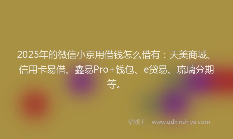 2025年的微信小京用借钱怎么借有：天美商城、信用卡易借、鑫易Pro+钱包、e贷易、琉璃分期等。