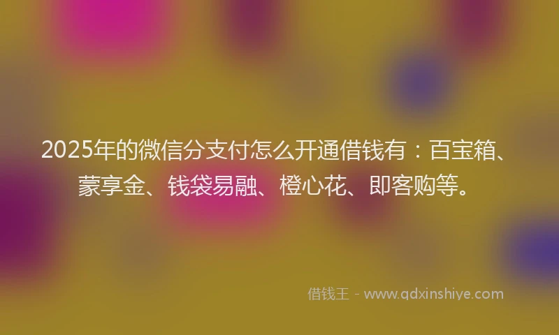 2025年的微信分支付怎么开通借钱有：百宝箱、蒙享金、钱袋易融、橙心花、即客购等。