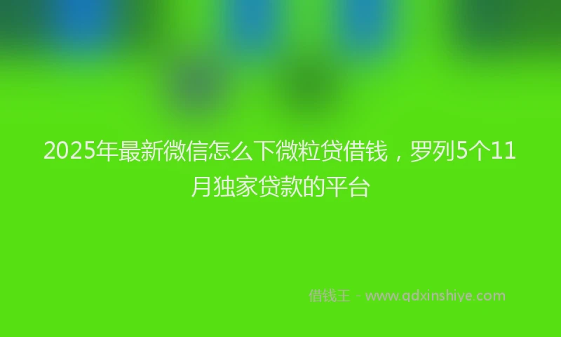 2025年最新微信怎么下微粒贷借钱，罗列5个11月独家贷款的平台