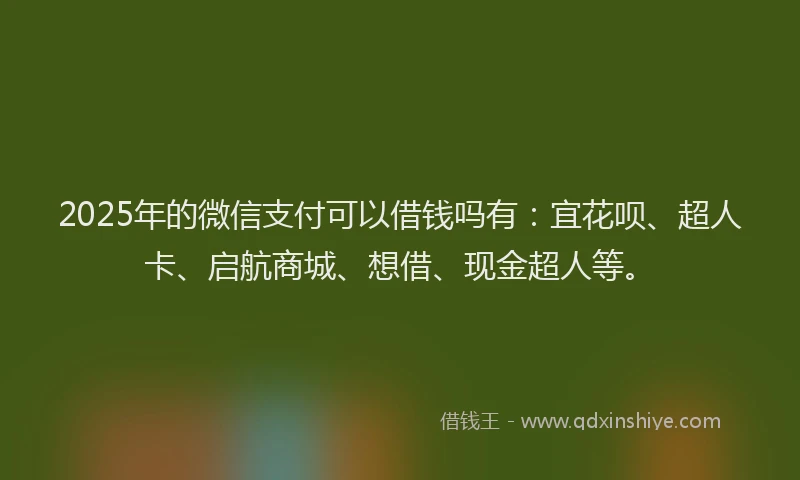2025年的微信支付可以借钱吗有：宜花呗、超人卡、启航商城、想借、现金超人等。
