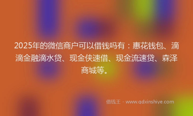 2025年的微信商户可以借钱吗有：惠花钱包、滴滴金融滴水贷、现金侠速借、现金流速贷、森泽商城等。