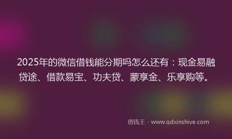 2025年的微信借钱能分期吗怎么还有：现金易融贷途、借款易宝、功夫贷、蒙享金、乐享购等。