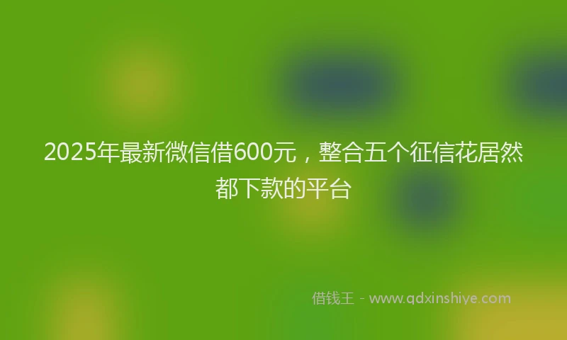 2025年最新微信借600元，整合五个征信花居然都下款的平台