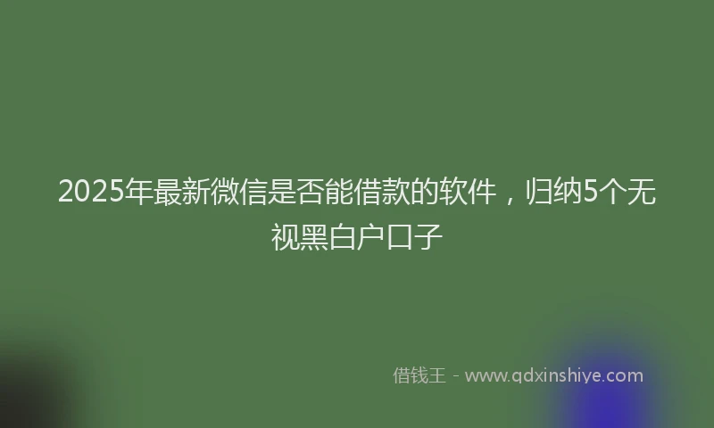 2025年最新微信是否能借款的软件，归纳5个无视黑白户口子