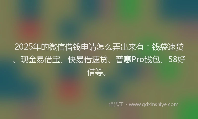 2025年的微信借钱申请怎么弄出来有：钱袋速贷、现金易借宝、快易借速贷、普惠Pro钱包、58好借等。