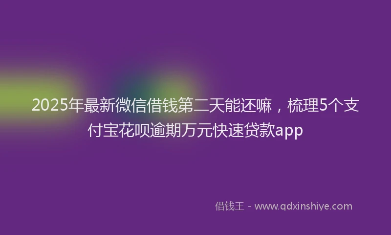 2025年最新微信借钱第二天能还嘛，梳理5个支付宝花呗逾期万元快速贷款app