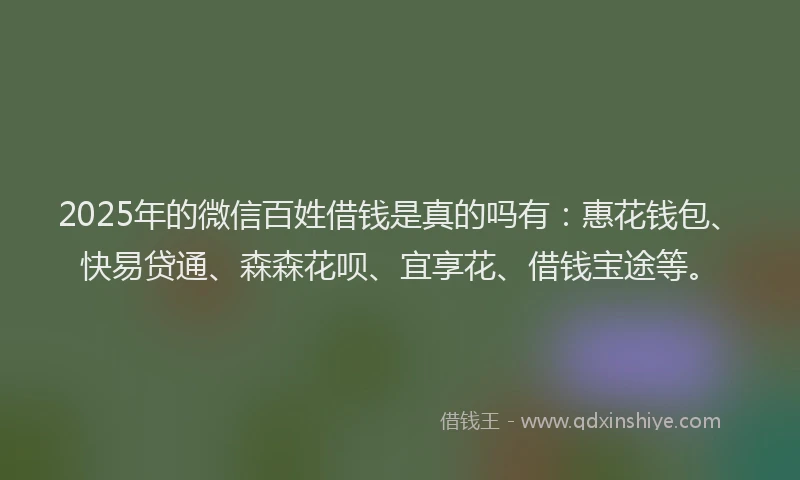 2025年的微信百姓借钱是真的吗有：惠花钱包、快易贷通、森森花呗、宜享花、借钱宝途等。