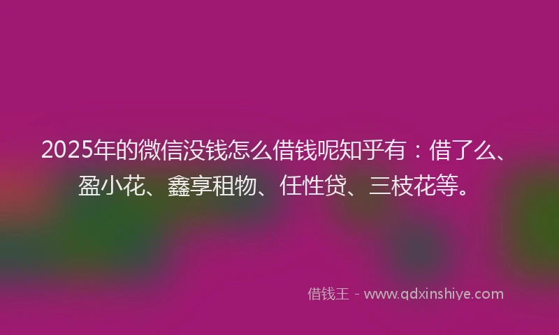 2025年的微信没钱怎么借钱呢知乎有：借了么、盈小花、鑫享租物、任性贷、三枝花等。