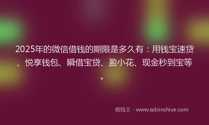 2025年的微信借钱的期限是多久有：用钱宝速贷、悦享钱包、瞬借宝贷、盈小花、现金秒到宝等。
