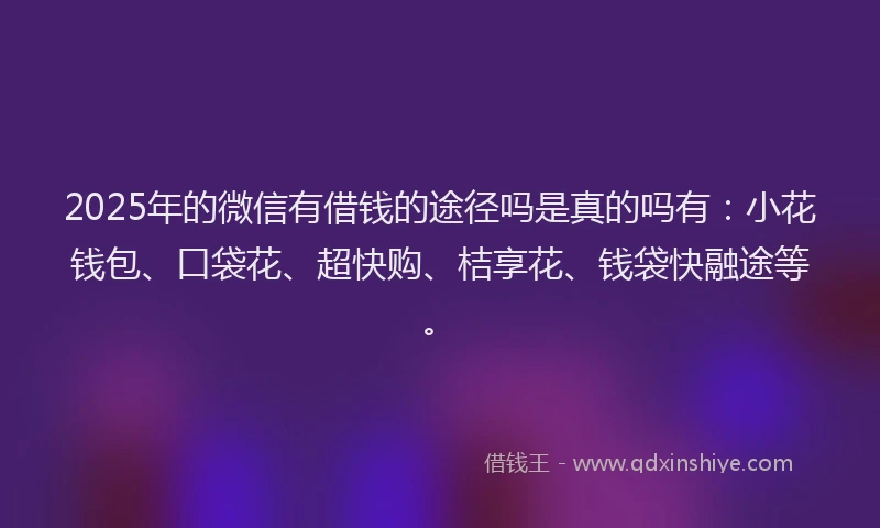 2025年的微信有借钱的途径吗是真的吗有：小花钱包、口袋花、超快购、桔享花、钱袋快融途等。