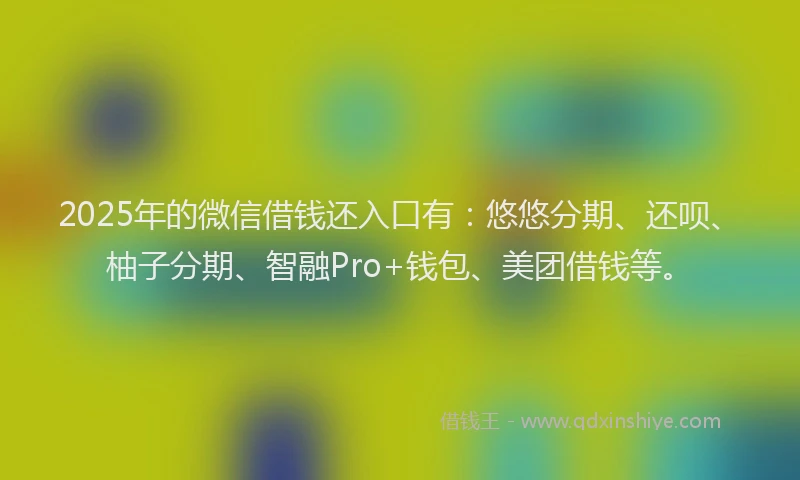 2025年的微信借钱还入口有：悠悠分期、还呗、柚子分期、智融Pro+钱包、美团借钱等。