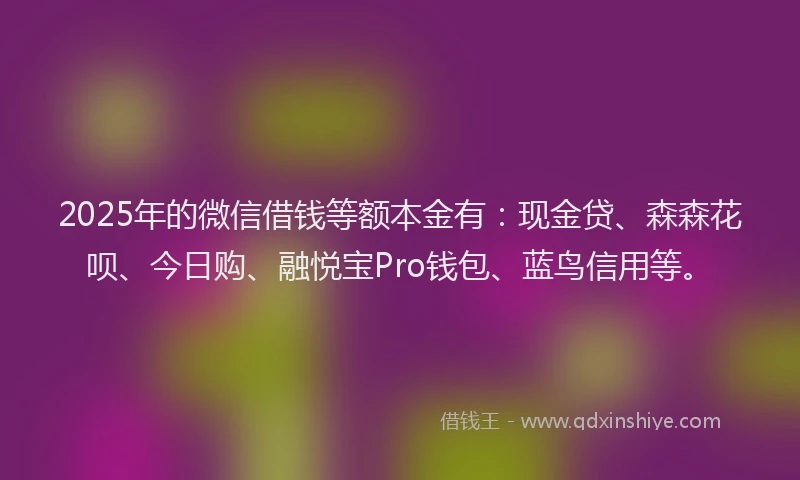 2025年的微信借钱等额本金有：现金贷、森森花呗、今日购、融悦宝Pro钱包、蓝鸟信用等。