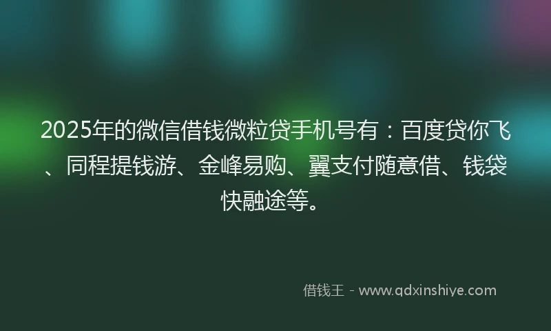 2025年的微信借钱微粒贷手机号有：百度贷你飞、同程提钱游、金峰易购、翼支付随意借、钱袋快融途等。