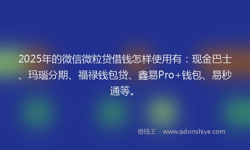 2025年的微信微粒贷借钱怎样使用有：现金巴士、玛瑙分期、福禄钱包贷、鑫易Pro+钱包、易秒通等。