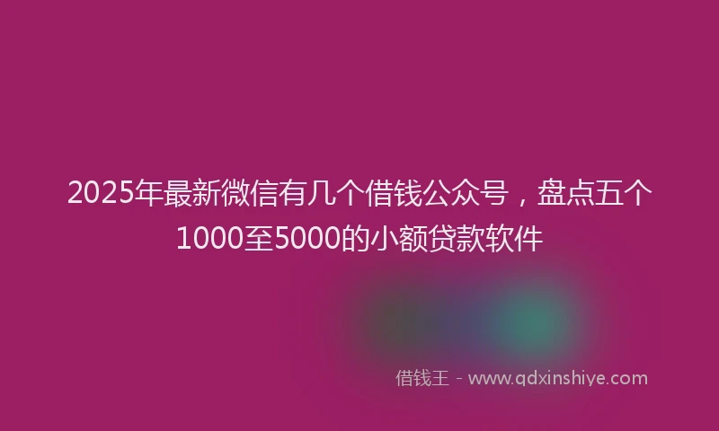 2025年最新微信有几个借钱公众号，盘点五个1000至5000的小额贷款软件