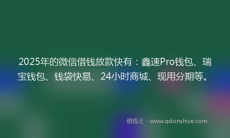 2025年的微信借钱放款快有：鑫速Pro钱包、瑞宝钱包、钱袋快易、24小时商城、现用分期等。