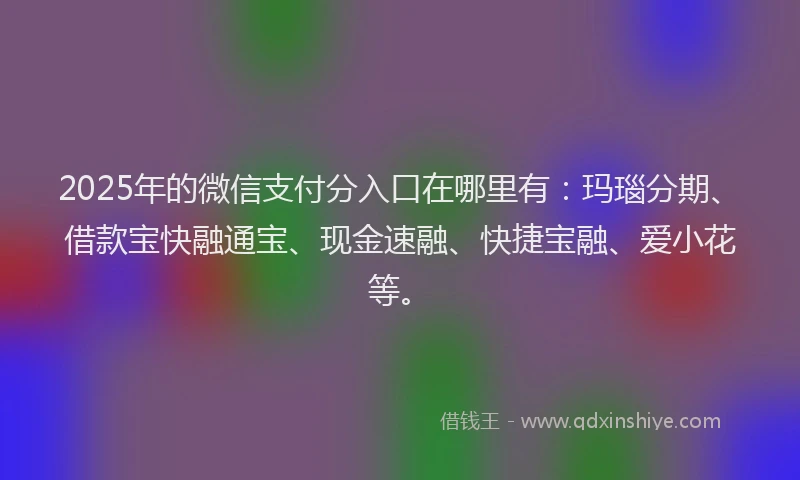2025年的微信支付分入口在哪里有：玛瑙分期、借款宝快融通宝、现金速融、快捷宝融、爱小花等。