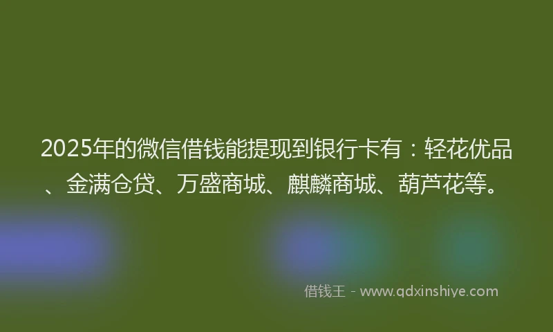 2025年的微信借钱能提现到银行卡有：轻花优品、金满仓贷、万盛商城、麒麟商城、葫芦花等。