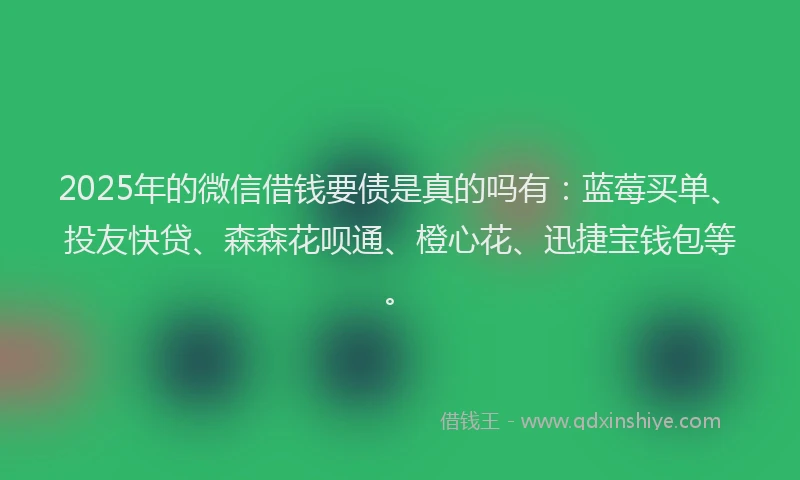 2025年的微信借钱要债是真的吗有：蓝莓买单、投友快贷、森森花呗通、橙心花、迅捷宝钱包等。