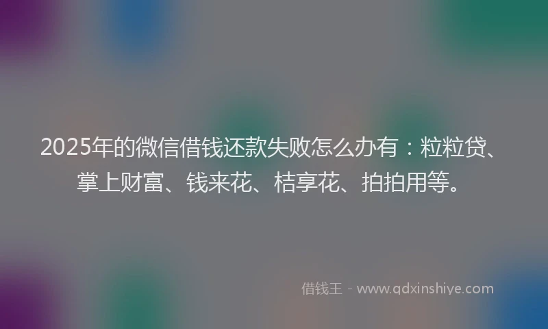 2025年的微信借钱还款失败怎么办有：粒粒贷、掌上财富、钱来花、桔享花、拍拍用等。