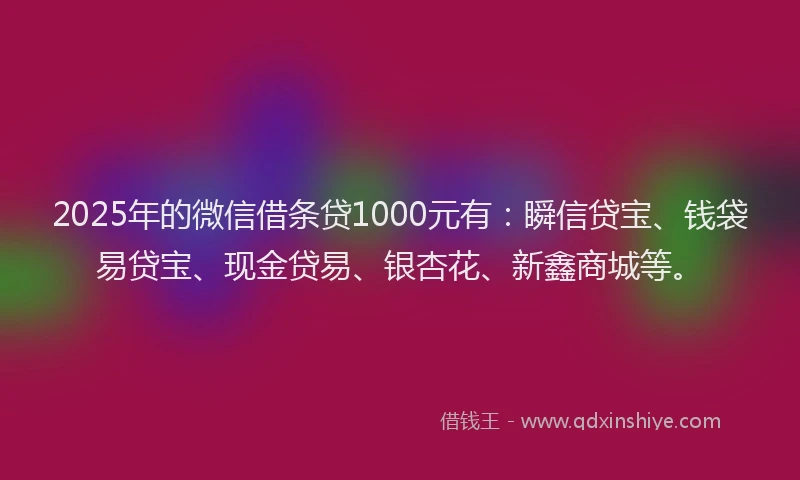 2025年的微信借条贷1000元有：瞬信贷宝、钱袋易贷宝、现金贷易、银杏花、新鑫商城等。