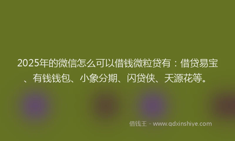 2025年的微信怎么可以借钱微粒贷有：借贷易宝、有钱钱包、小象分期、闪贷侠、天源花等。