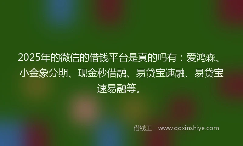 2025年的微信的借钱平台是真的吗有：爱鸿森、小金象分期、现金秒借融、易贷宝速融、易贷宝速易融等。