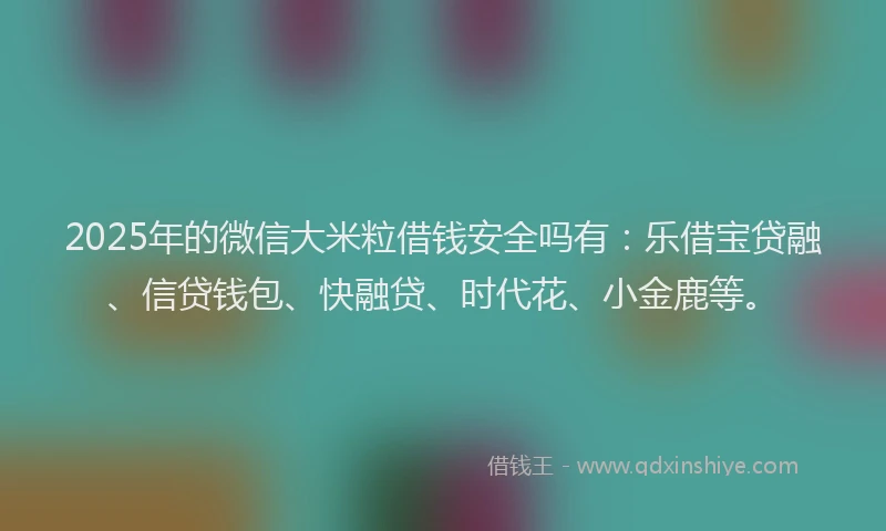 2025年的微信大米粒借钱安全吗有：乐借宝贷融、信贷钱包、快融贷、时代花、小金鹿等。
