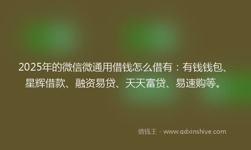 2025年的微信微通用借钱怎么借有：有钱钱包、星辉借款、融资易贷、天天富贷、易速购等。