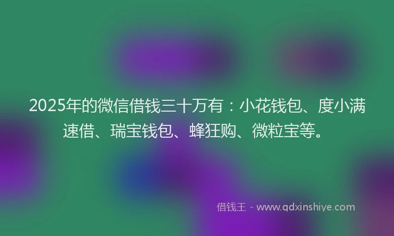 2025年的微信借钱三十万有：小花钱包、度小满速借、瑞宝钱包、蜂狂购、微粒宝等。