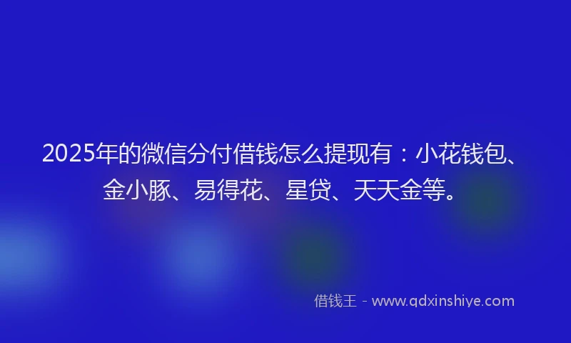 2025年的微信分付借钱怎么提现有：小花钱包、金小豚、易得花、星贷、天天金等。