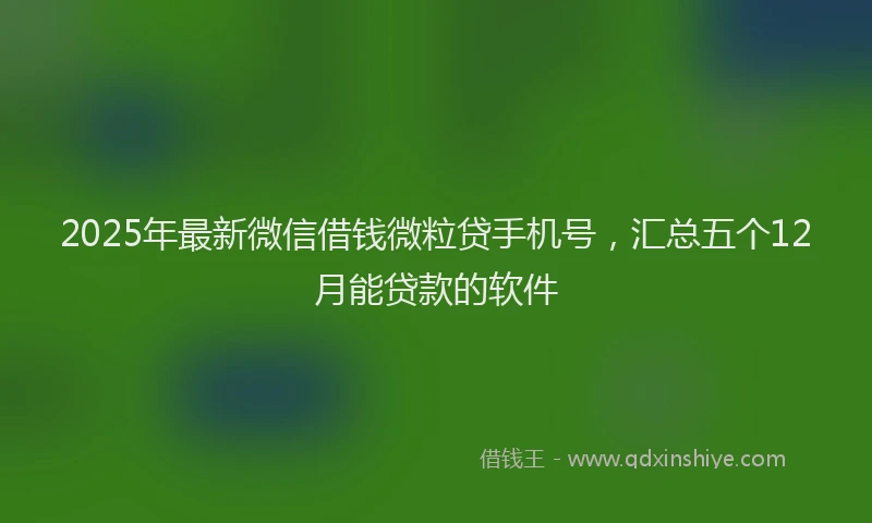 2025年最新微信借钱微粒贷手机号，汇总五个12月能贷款的软件