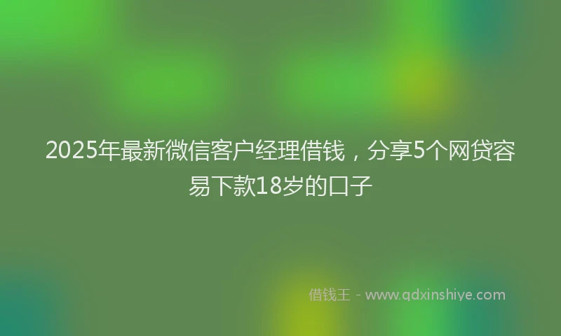 2025年最新微信客户经理借钱，分享5个网贷容易下款18岁的口子