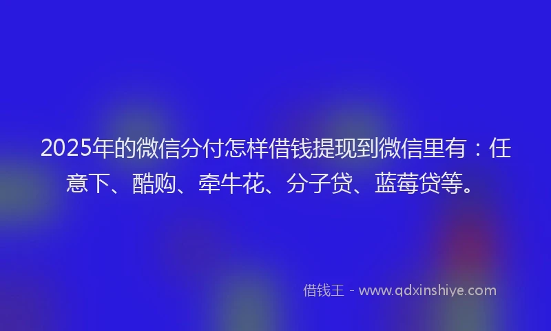 2025年的微信分付怎样借钱提现到微信里有：任意下、酷购、牵牛花、分子贷、蓝莓贷等。