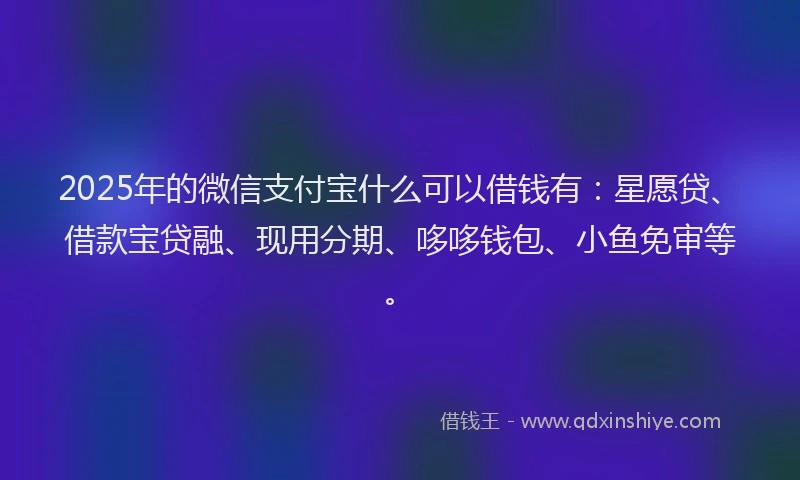 2025年的微信支付宝什么可以借钱有：星愿贷、借款宝贷融、现用分期、哆哆钱包、小鱼免审等。
