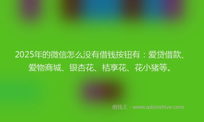 2025年的微信怎么没有借钱按钮有：爱贷借款、爱物商城、银杏花、桔享花、花小猪等。