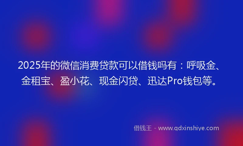 2025年的微信消费贷款可以借钱吗有：呼吸金、金租宝、盈小花、现金闪贷、迅达Pro钱包等。