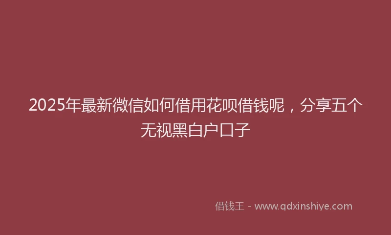 2025年最新微信如何借用花呗借钱呢，分享五个无视黑白户口子