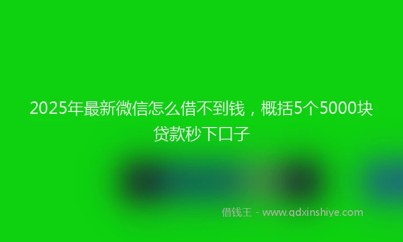 2025年最新微信怎么借不到钱，概括5个5000块贷款秒下口子