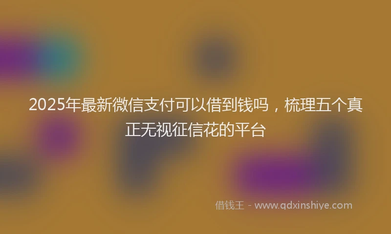 2025年最新微信支付可以借到钱吗，梳理五个真正无视征信花的平台